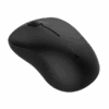 Rapoo M160