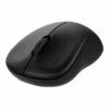Rapoo M160